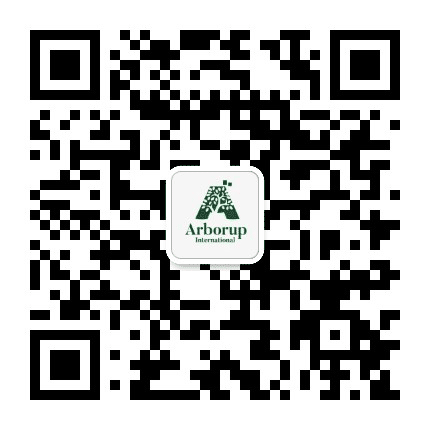 乔木国际文化交流中心公众号二维码