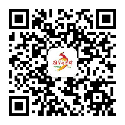 宝鸡先锋公众号二维码