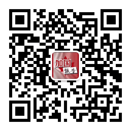 北美报告公众号二维码