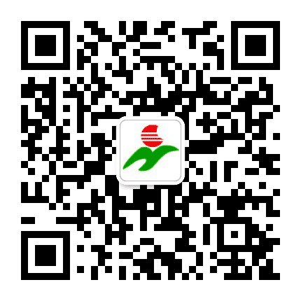 大沥镇城南小学公众号二维码