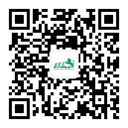 山东毅狮迈公众号二维码