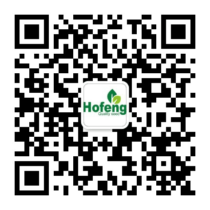 酒泉鸿丰种业公众号二维码