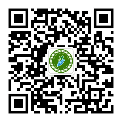 华岩小学订阅号公众号二维码