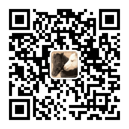 IPONY马术微刊公众号二维码