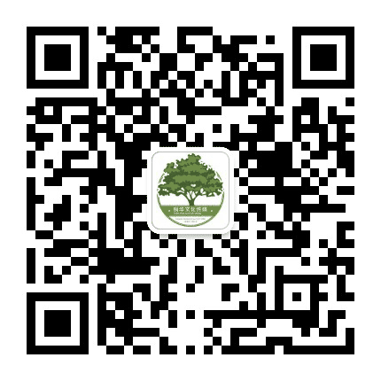 桐华文化传媒公众号二维码