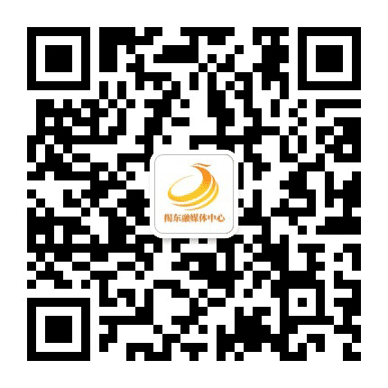 金凤视听公众号二维码