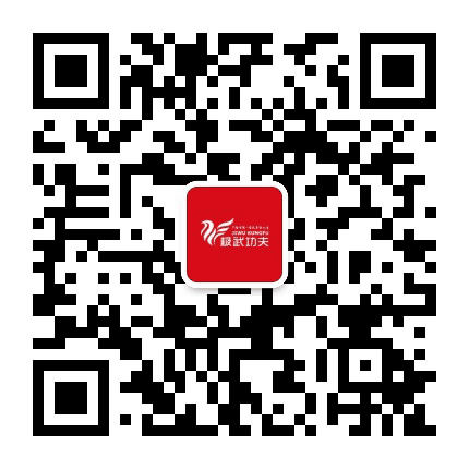 极武少儿武术公众号二维码