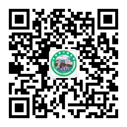 柬埔寨中国商会公众号二维码