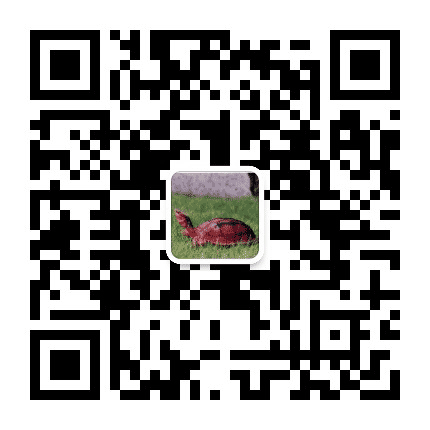 东莞金钱龟会公众号二维码