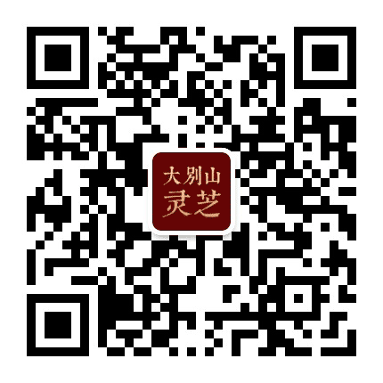 大别山灵芝公众号二维码