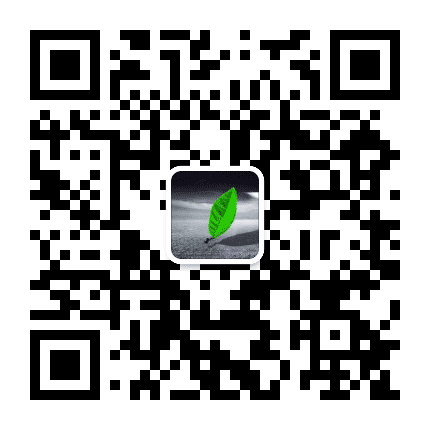 宁德热点公众号二维码
