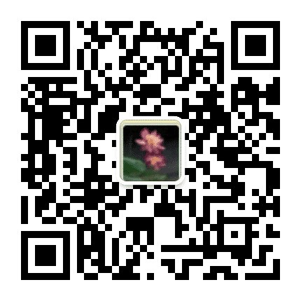 平安凤凰台公众号二维码