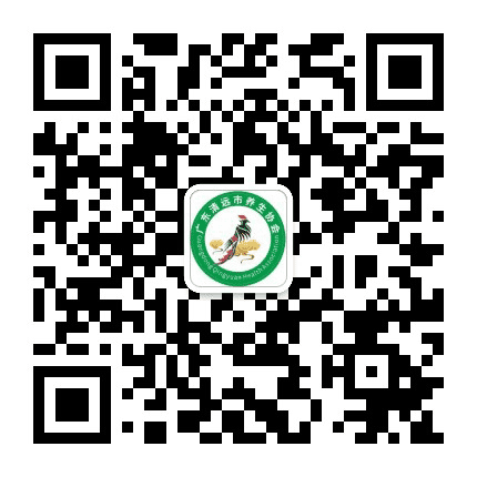 养生协会健康养生大平台公众号二维码