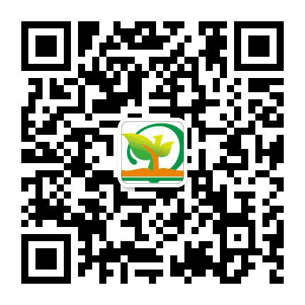 湖南润德教育公众号二维码