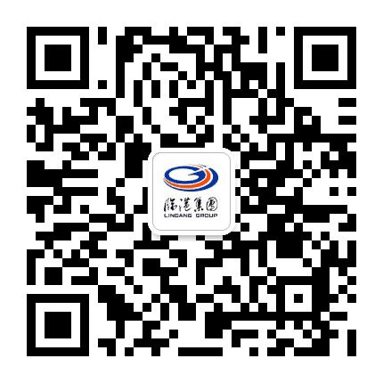 临港集团公众号二维码