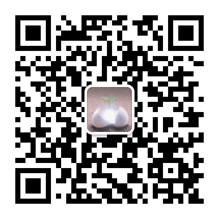 生命的光华公众号二维码