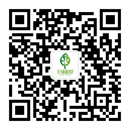 斯里兰卡红茶公众号二维码