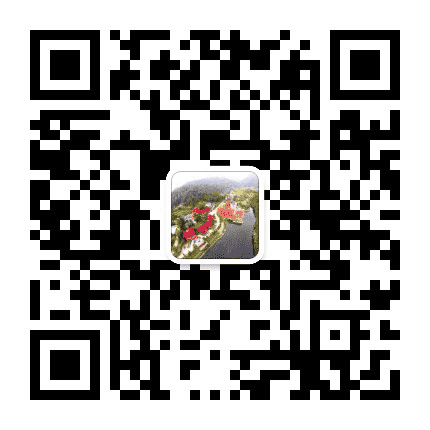 安徽岳西天峡景区公众号二维码