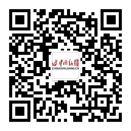 微新疆公众号二维码