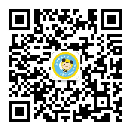 南浦蜜蜂中队公众号二维码