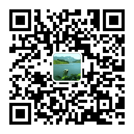 秀美金江公众号二维码