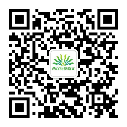 西双版纳群文公众号二维码