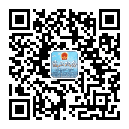 霞山政务公众号二维码