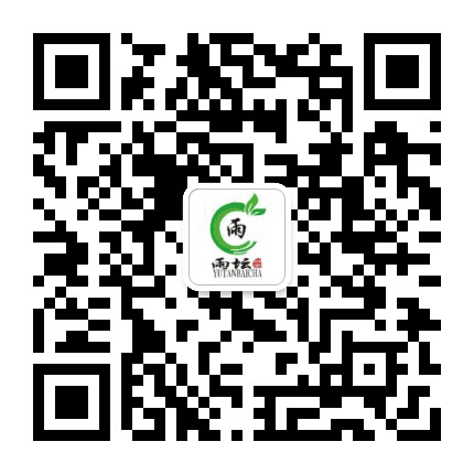 枞阳雨坛白茶公众号二维码