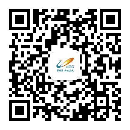 凤鸣浙北公众号二维码