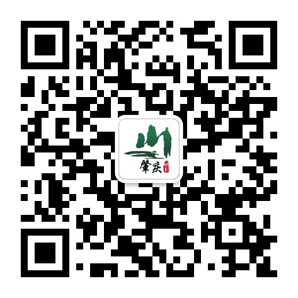肇庆映象公众号二维码