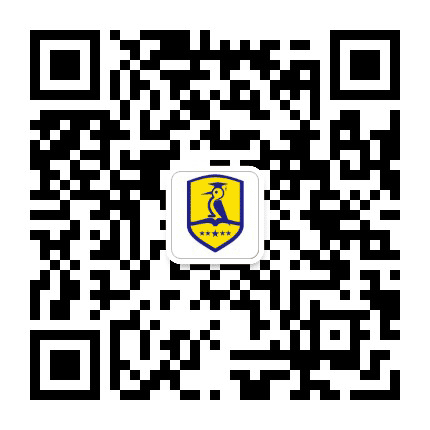 郑州啄木鸟教育公众号二维码