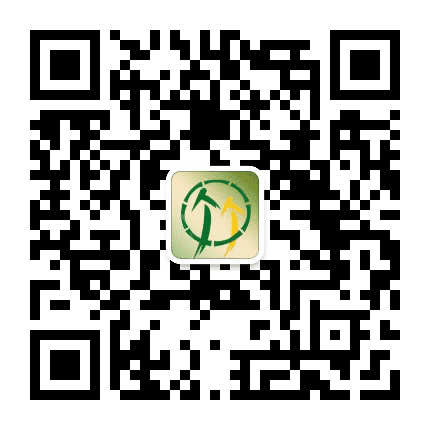 清竹林旅游公众号二维码