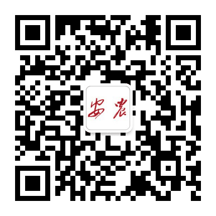 安华保险公众号二维码