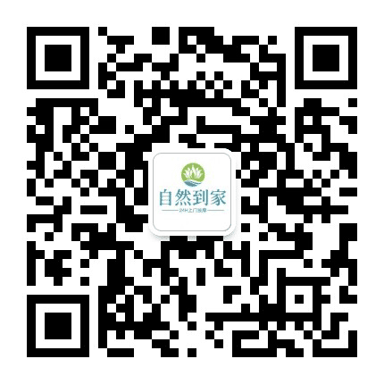 安溪头牌美食公众号二维码