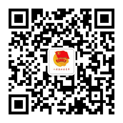 成华区府青路街道八里庄社区青年公众号二维码