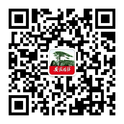 蚌山信访公众号二维码