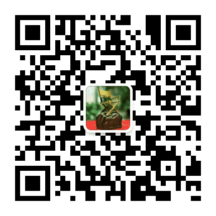 北京电影学院导演系党支部公众号二维码