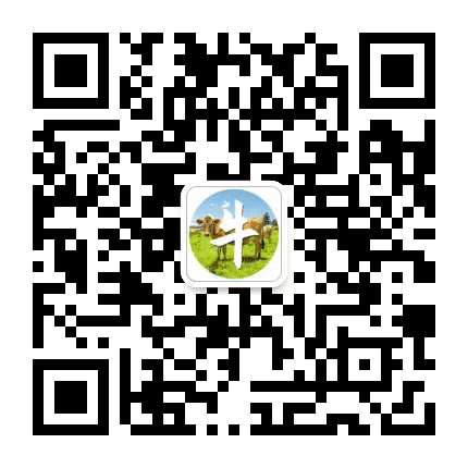 生肖牛运势天天看公众号二维码