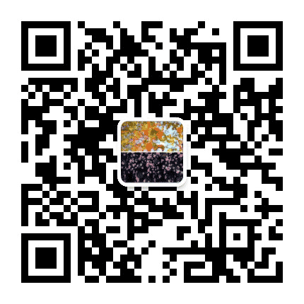 血拼亳州楼市公众号二维码