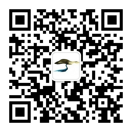 旅游白山公众号二维码