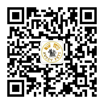 巴迪宠物公众号二维码