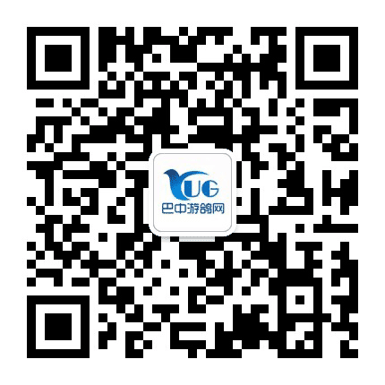 游鸽网头条公众号二维码