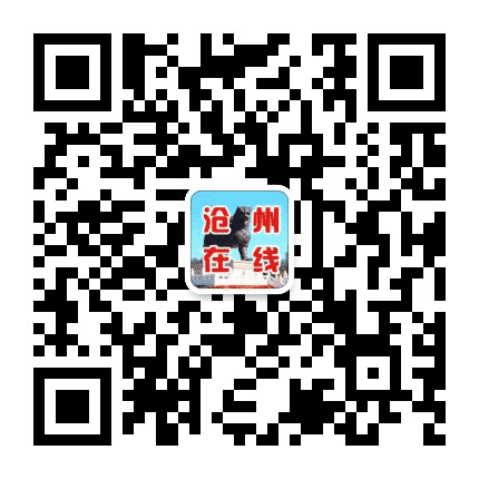 沧州在线公众号二维码