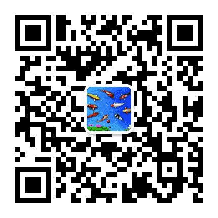 国学南京在线网公众号二维码