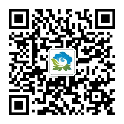 成华城市管理公众号二维码