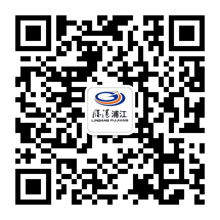 临港浦江国际科技城公众号二维码