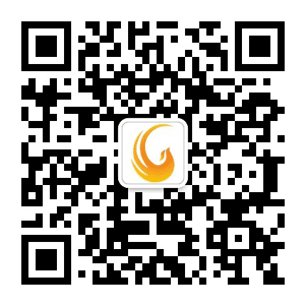 东凤一线公众号二维码