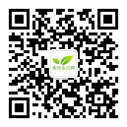 茶竹永川网公众号二维码