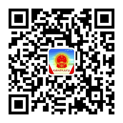 陇南成县抛沙人大公众号二维码
