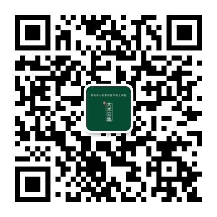 大术云集艺考公众号二维码
